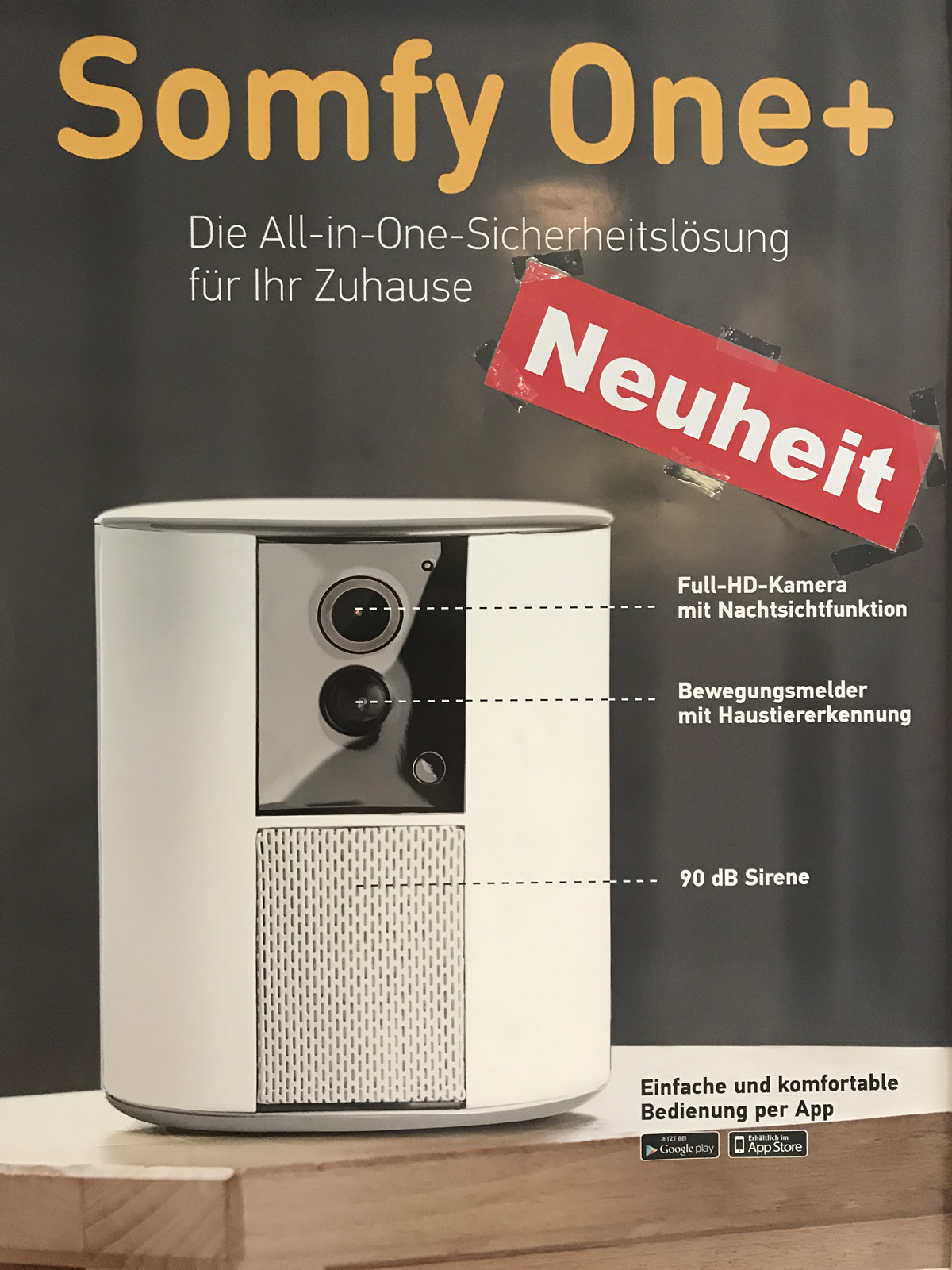 Ausstellung Fortuna Wintergarten